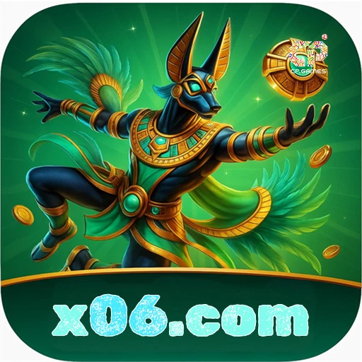 x06.com